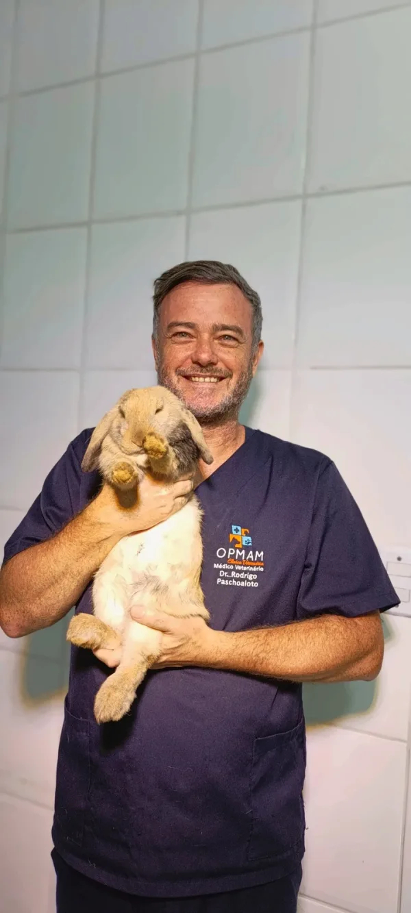 Carinho durante a visita