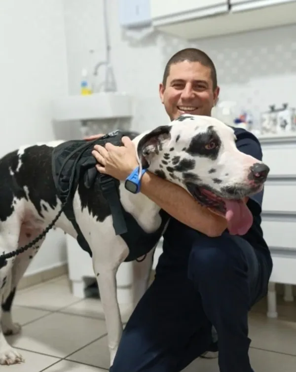 Cuidado com o cão na OPMAM