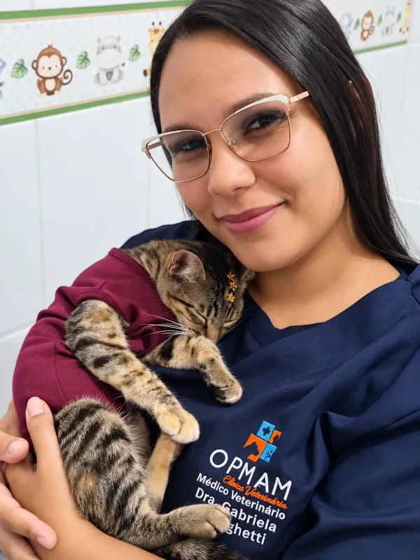 Carinho com o gatinho