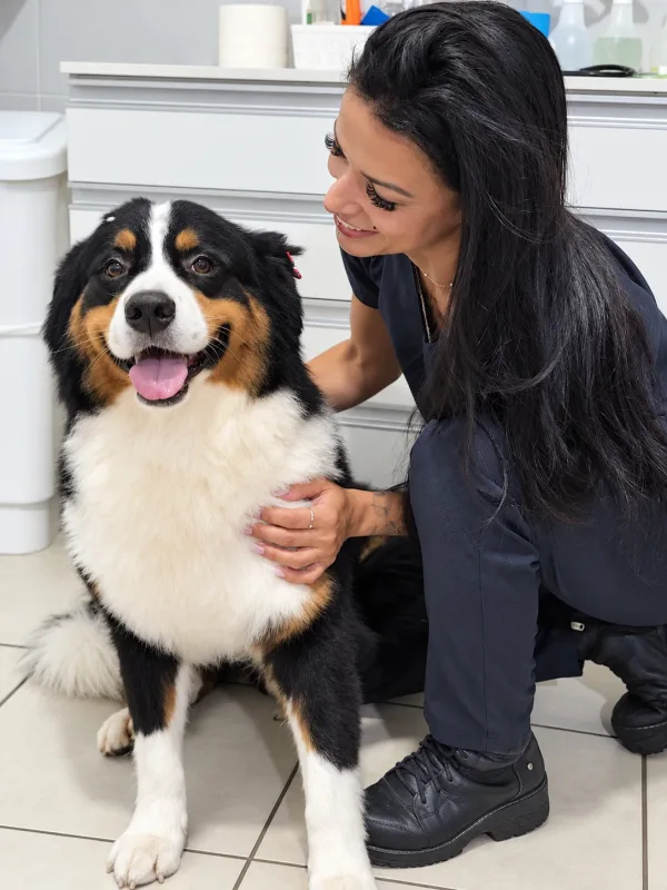 Uma visita em boa companhia