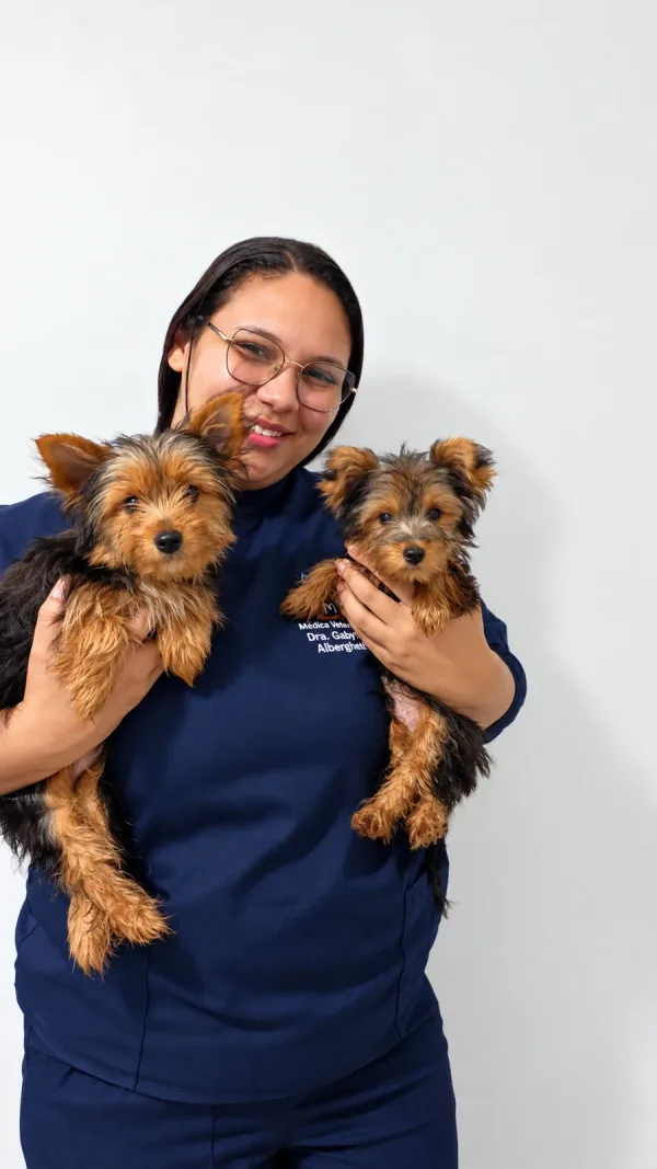 Dois pequenos companheiros