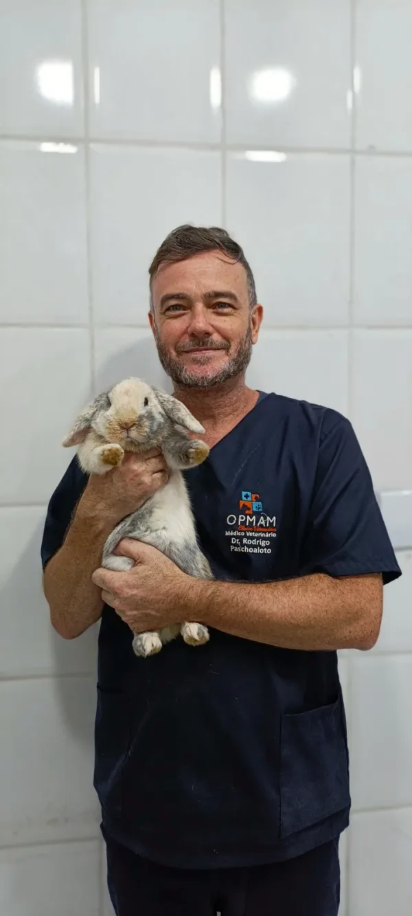 Um momento na consulta