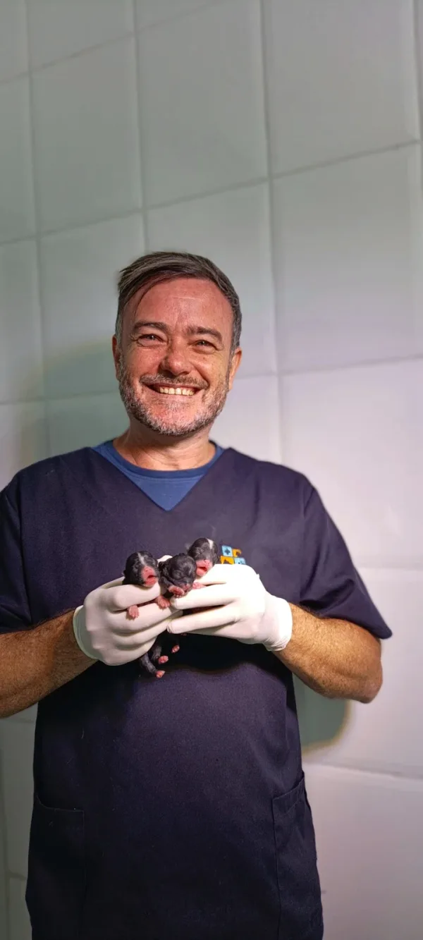 Cuidado com os pequenos